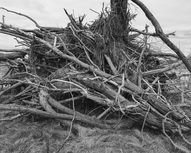Loughborough Moors